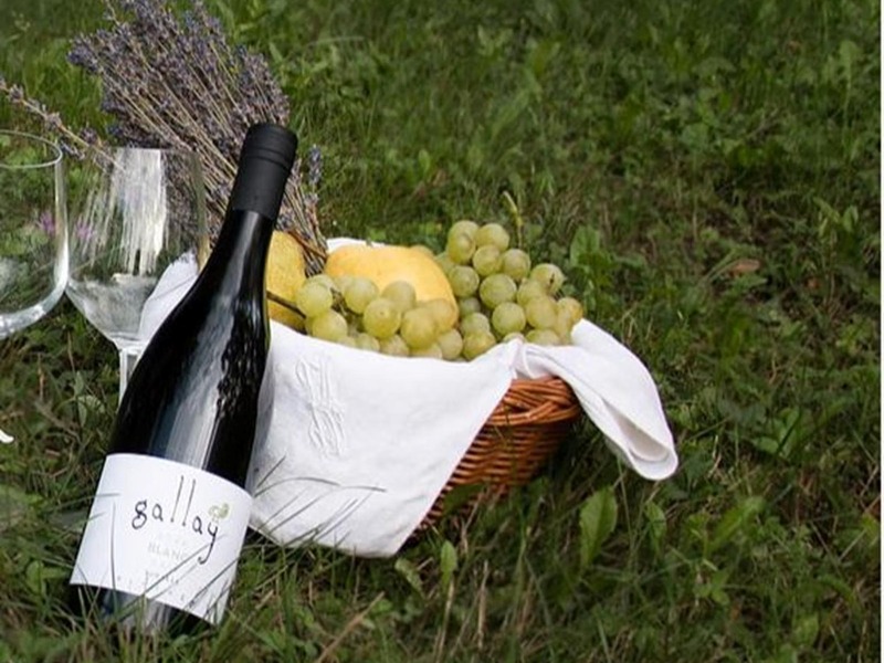 GALLAY KÉZMŰVES PINCE