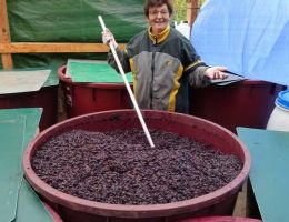 9747ed89 e1e7 4332 80bbbe430d87b3 image