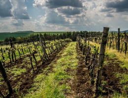 20140502 dsc 5852 e1495728947610