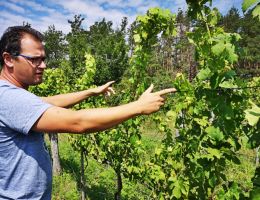 img 20190720 105634x512