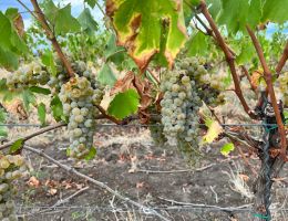 308066008 469036951907043 5363988024971258134 n