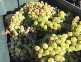 464933034 27474325435544955 5241412329691768495 n