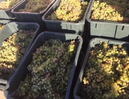 465007860 27474325455544953 78276683141585697 n