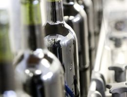 429654711 878291660973749 6685860843305103275 n