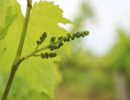 442465661 935518631917718 4834027544044104296 n