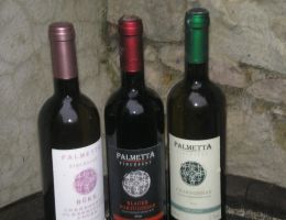 449154219 2147541085610476 583540168906552104 n