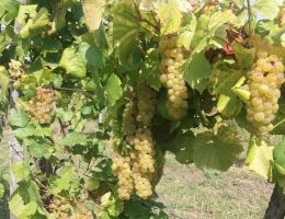 a2bf8095e3e4af7abde1007d29707d1f06eb3688 normal