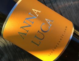 447414891 1029838505817454 6291475206512744508 n