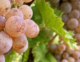 455692257 1086577103476927 6844296748027238672 n