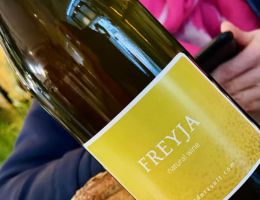 470233643 1192682842866352 6860413108803383362 n